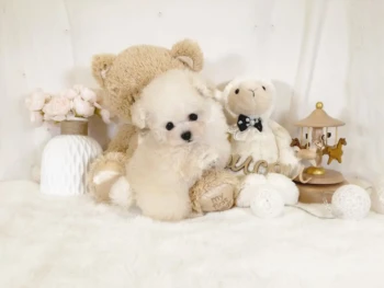 Barbie – TOY Hembra